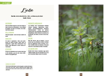Pages Plantes Sauvages Comestibles